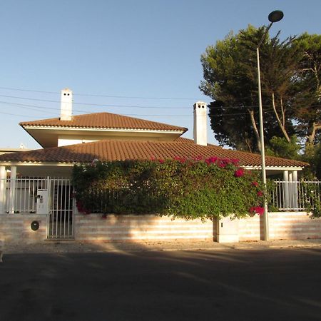 Go Pt - Private Challet With Swimming Pool And Garden Parede Extérieur photo